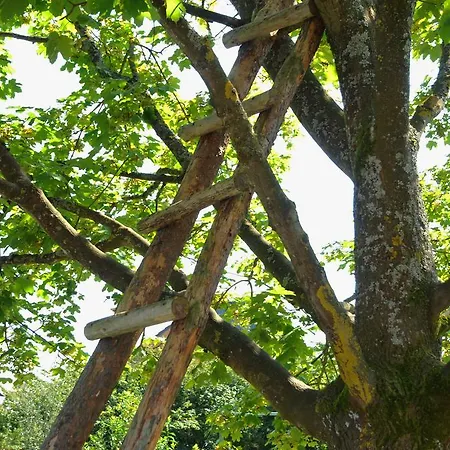 Chez Robert 度假居 Petit Han